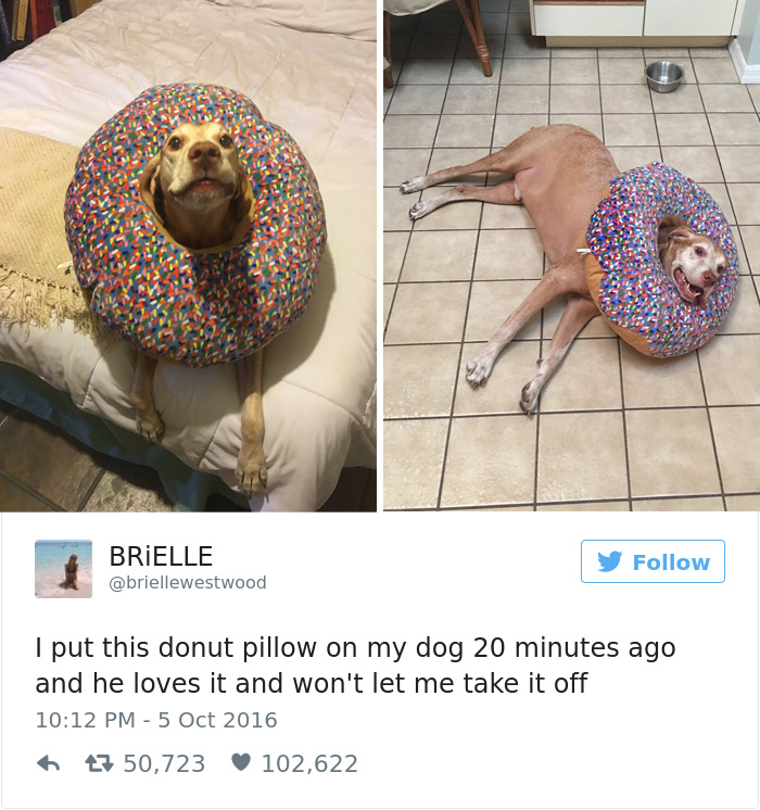 Dog Tweets