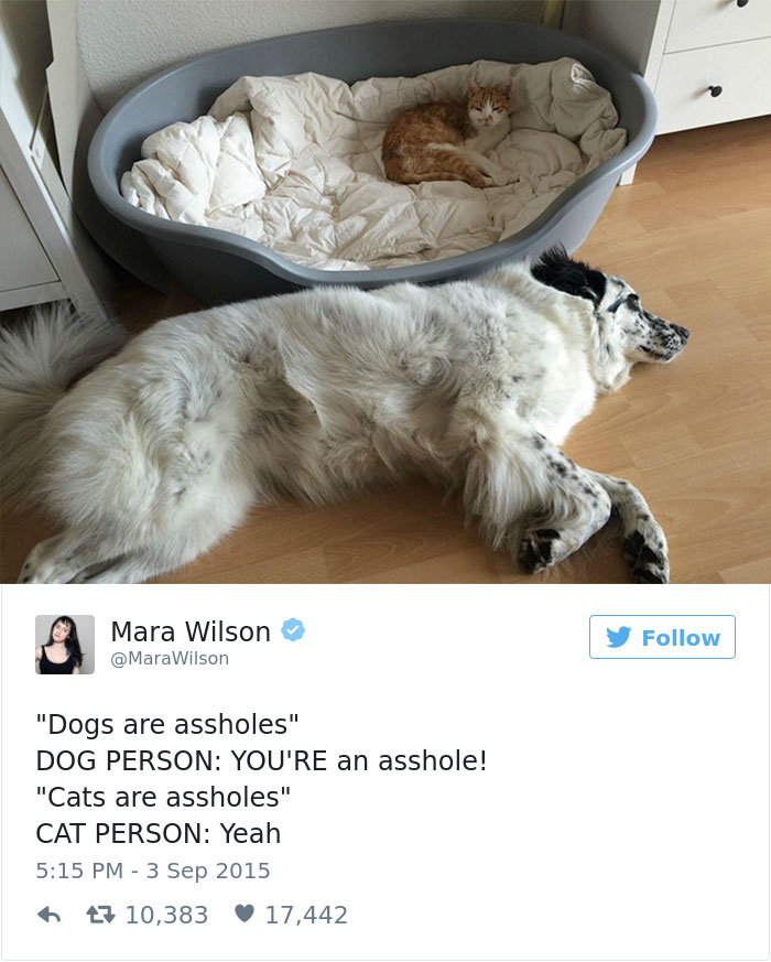 Dog Tweets