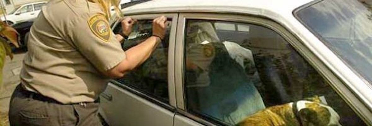 New law being passed makes it a felony to leave a pet in a hot car. Do you support this idea?
