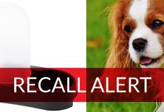 BREAKING: IKEA Pet Water Fountain Recalled After Two Dogs Suffocated To Death