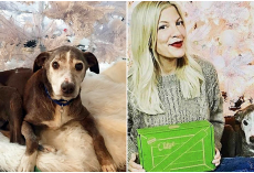 Tori Spelling Adopts 14-Year-Old Dog Who Was Dumped At Shelter Before Christmas