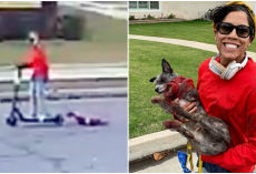 UPDATE: Charges Filed Against Woman Who Dragged Dog From Scooter Until His Paws Bled
