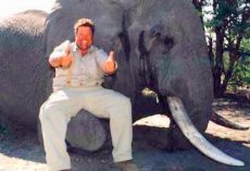 Jimmy John’s CEO Exposed As Trophy Hunter, Gives Thumbs Up After Killing Elephant