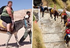 Tourists Urged To Stop Riding Donkeys Up Santorini’s Steep Steps