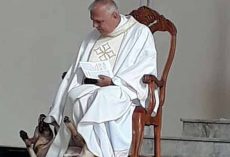 The Internet Is Going Crazy Over Priest’s Reaction To A Stray Dog Crashing His Church Service
