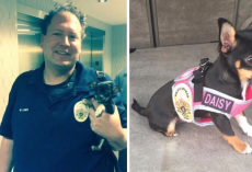 Puppy Found Abandoned At A Crime Scene Ends Up With The Best Job