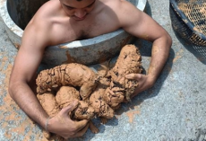 Man Hears Crying In A Well, Climbs In To Find 5 Puppies Caked In Mud