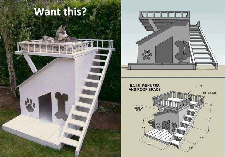 dog house funny 5