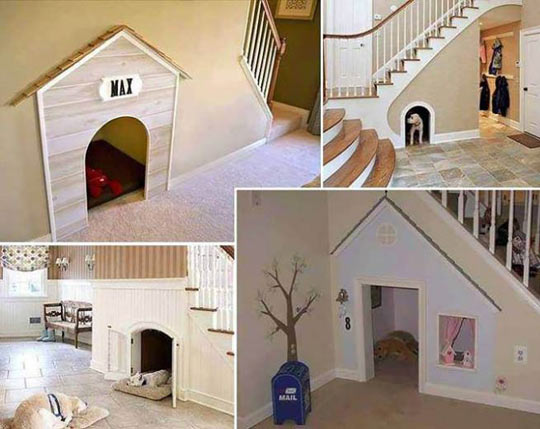 dog-house-stairs