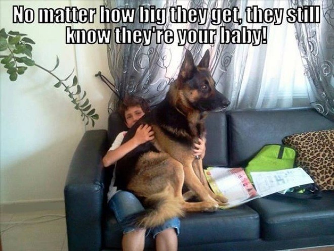 hilarious-dog-owners-situations-17.jpg