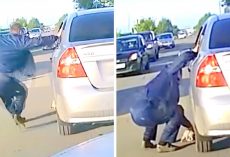 Man Saves Kitten In The Nick Of Time, Risking Losing His Hand