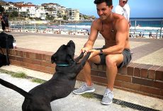 Man Fosters “Talking Dog” For 2-Weeks, Fell In Love And Begged To Keep Him