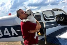 Army Veteran Flies Across America To Save More Than 700 Pets From Kill Shelters