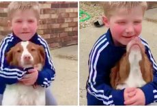 Missing Child And Dog Curl Up In Cold Cornfield, Scared No One Would Find Them