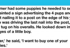 Little Boy Picked Out Crippled Pup From The Farmer’s Litter To Buy