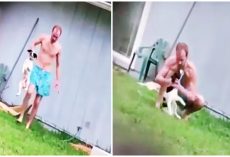 Poor Baby Picked Up & Painfully Punished, Judge Allows Puppy To Return To Abuser