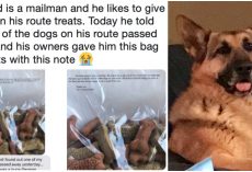Mailman Gave Treats To Dogs On His Route, And When One Died, Owners Gave Him A “Sweet Note”