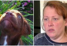 Sadistic Woman Beat Her Service Dog To Death With A Hammer & Felt No Remorse