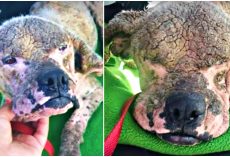 Despised For Having ‘Ugly Disease’, A Kind Hand Reaches Out To Touch Her Soul