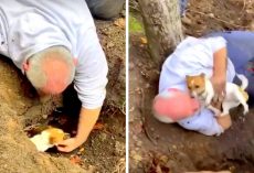 Missing Dog Was Stuck Down A Fox Hole For 3 Days, Dad Rescues Her & Breaks Down