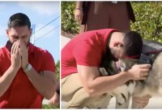 Man Completely Lost-It, Races Toward His Lost Dogs When He Spots Them At Shelter