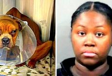 Vile Woman Deliberately Starves Dog For Months, Buries Him In A Dumpster To Die