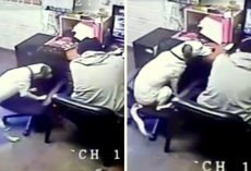 Dog Feels Sorry For Dad Working All Alone, So He Drags A Chair To Sit Beside Him