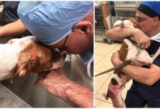 Doomed To Die In Fire, He Knocks Doc To Floor To Thank Him For Sparing His Life