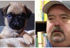 Dog Dad Wants Others To Learn From Mistake That Cost New Puppy His Life
