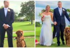 Wounded Veteran Enlists Golden Retriever As Best Man On His Wedding Day