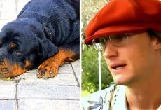 Cop Guns Down Service Dog Who Was On Her Potty Break, Admits She Didn’t Bite Him