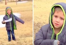 Little Boy’s Dog Has Been Missing For A Month, When Mom Calls Her Son Over