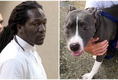 Malicious Man Locked Puppy In Cage & Dumped Him In River’s Rising Tide To Drown