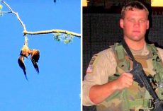 Town Refuses To Help Poor Eagle Hanging From A Tree, So Army Veteran Steps In
