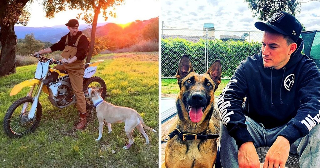 new dog movie with channing tatum