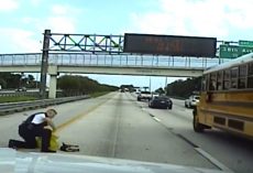 Cop Sees Dog Get Hit By Car Right In Front Of Him, Stops Immediately