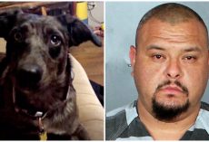 Man Sped Down Street & Onto Neighbor’s Driveway To Intentionally Run Over His Dog