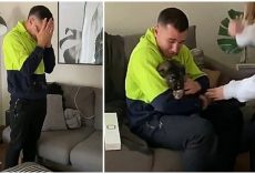 Grown Man Bursts Into Tears When He Gets New Puppy: ‘This Was All He Ever Wanted’