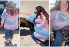 Lost Dog Jumps Out Of Car Into Owner’s Arms After She Was Missing For 3 Years