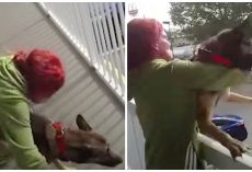 Deranged Woman Gets Mad & Throws Her Helpless Dog Off Second Floor Balcony