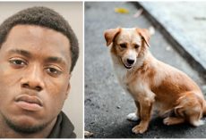 Man In Clown Mask Aims Gun At Friendly Stray Dog & Shoots Him 15 Times