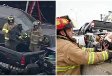 Firefighters Pull Dogs From The Wreckage After Deadly Pileup On Interstate