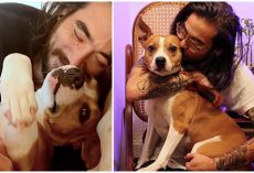 Man Chooses Jail Time Over Giving Beloved Dog Back To His Former Employer