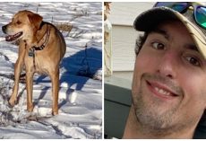 Missing Hiker’s Dog Found 8 Days After Disappearing, Owner Still Not Located