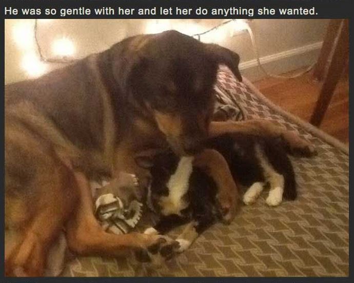He was so gentle with her and let her do anything she wanted.