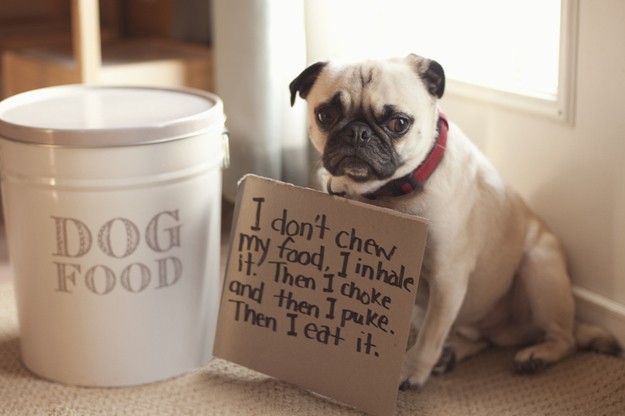He doesn't understand why he's being shamed for not being wasteful and tbh, I don't get it either.