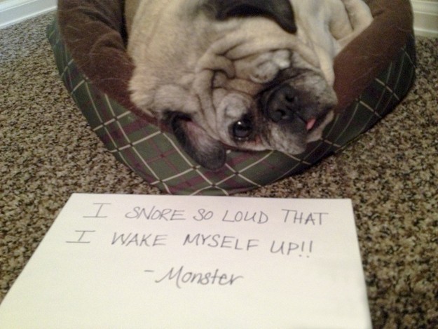 As long as he doesn't blame anyone else, this is understandable and adorable.