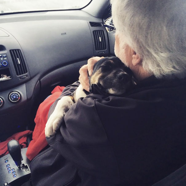 Dad Wasn't Excited About Us Getting A Dog. Too Bad Puppy Fell In Love With Him Dad Wasn't Excited About Us Getting A Dog. Too Bad Puppy Fell In Love With Him