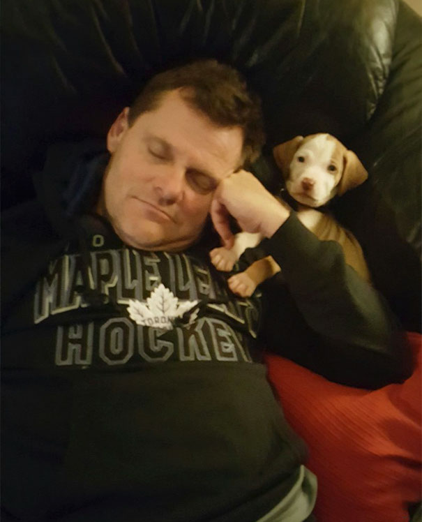 My Dad Swore He Wanted Nothing To Do With This Dog. Came Down Stairs To This Last Night My Dad Swore He Wanted Nothing To Do With This Dog. Came Down Stairs To This Last Night