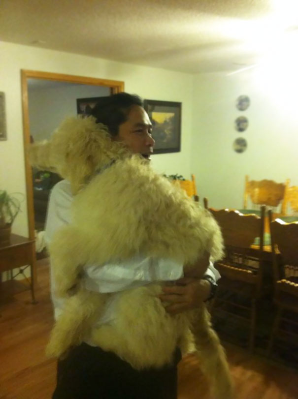 For Someone Who "Doesn't Like Dogs", I Found My Dad Picking Up And Hugging My Dog Like This For Someone Who "Doesn't Like Dogs", I Found My Dad Picking Up And Hugging My Dog Like This